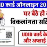 unique-disability-udid-id-card