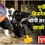 you-are-getting-rs-31-lakh-for-opening-a-dairy-business