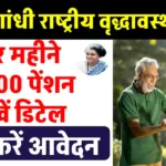 Indira Gandhi National Old Age Pension Scheme: ₹500 हर महीने की पेंशन, जानें कैसे करें आवेदन